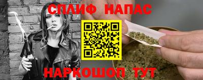 apvp Гатчина