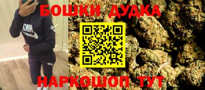 apvp Гатчина